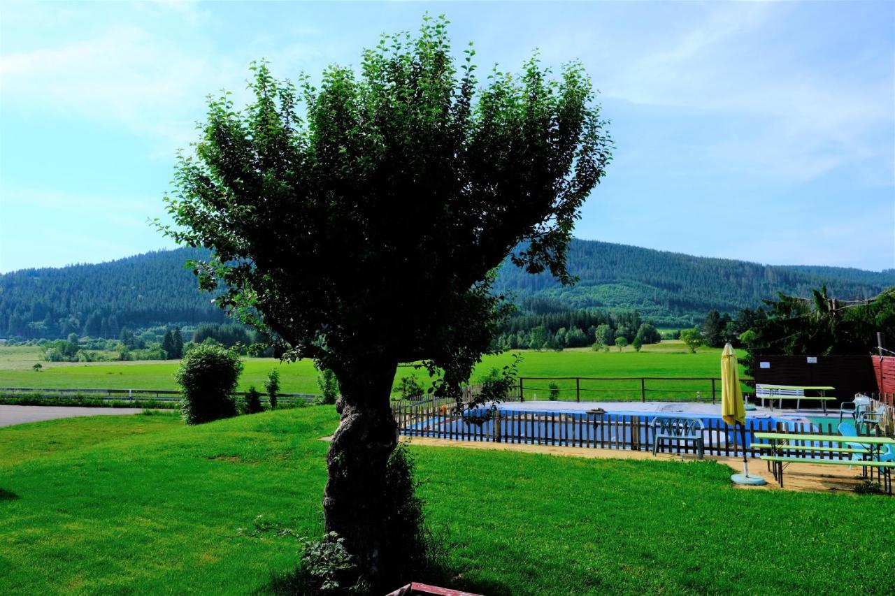 B Und B Titisee Hotel Sonnenmatte Nahe Badeparadies Exterior photo